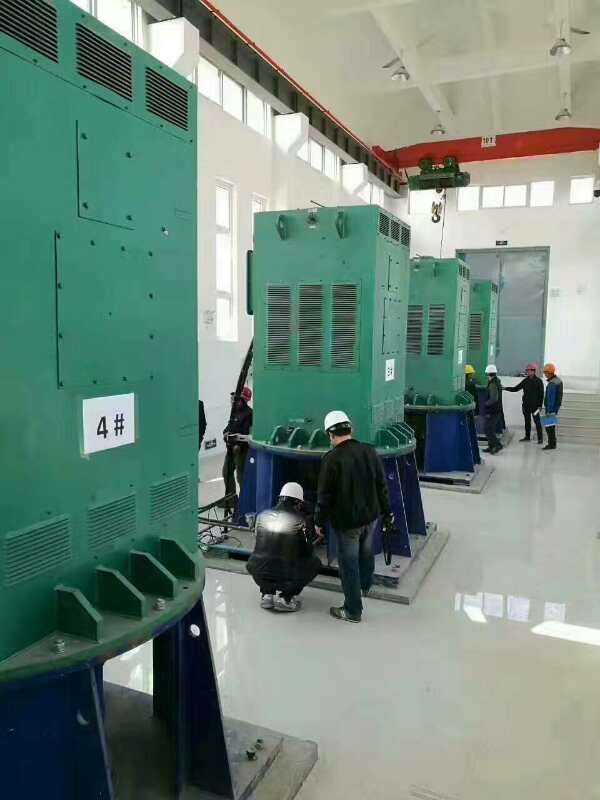 YR4502-8某污水处理厂使用我厂的立式高压电机安装现场