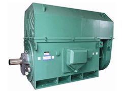 YR4502-8Y系列6KV高压电机